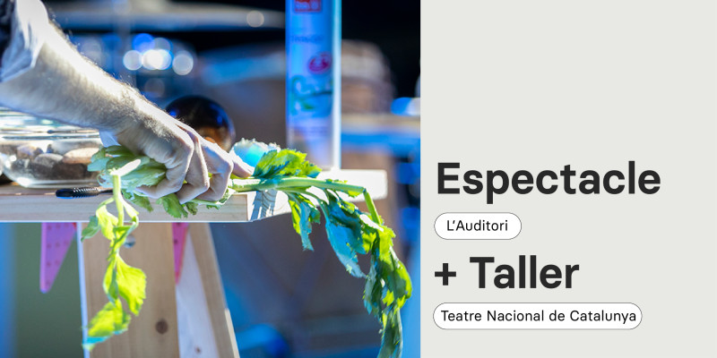 Espectacle Out Of The [Cage] vol. 2 a L'Auditori i Taller al Teatre Nacional de Catalunya
