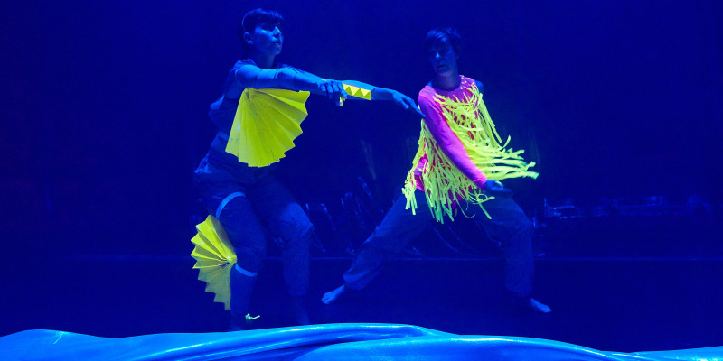Peça de dansa contemporània sobre la vida microscòpica del plàncton