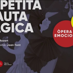 Portada del cop d'ull al projecte educatiu La petita flauta màgica