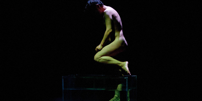 Espectacle físic i visual sobre la violència i l'exclusió