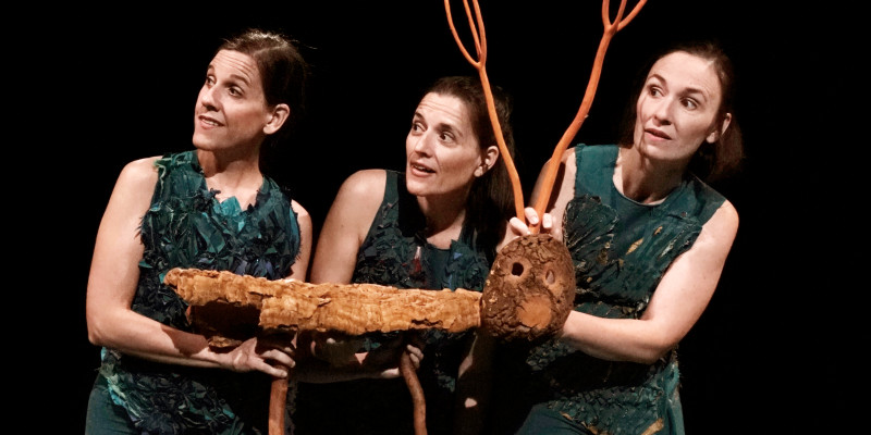 Espectacle familiar sobre la natura i el bosc