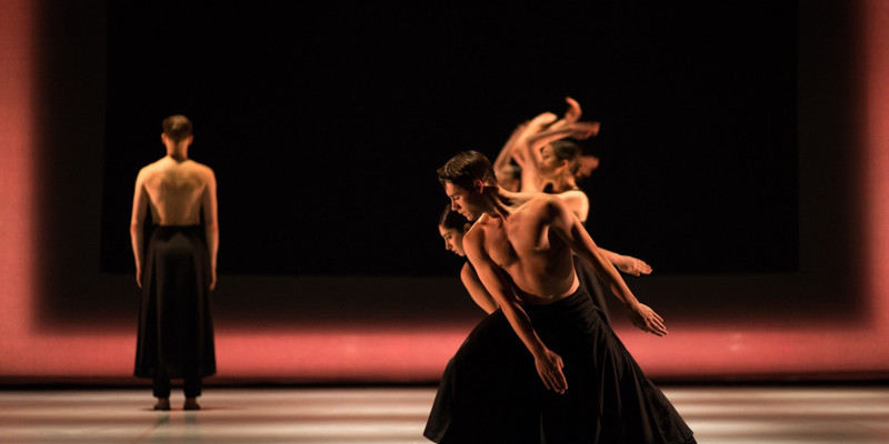 Joves ballarins de la companyia IT Dansa sobre l'escenari