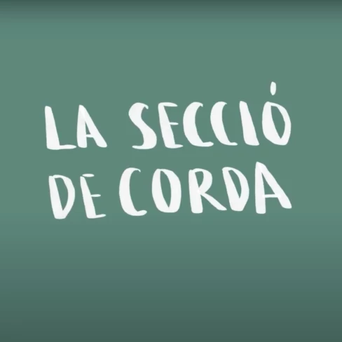 Vídeo divulgatiu sobre la secció de corda d'una orquestra