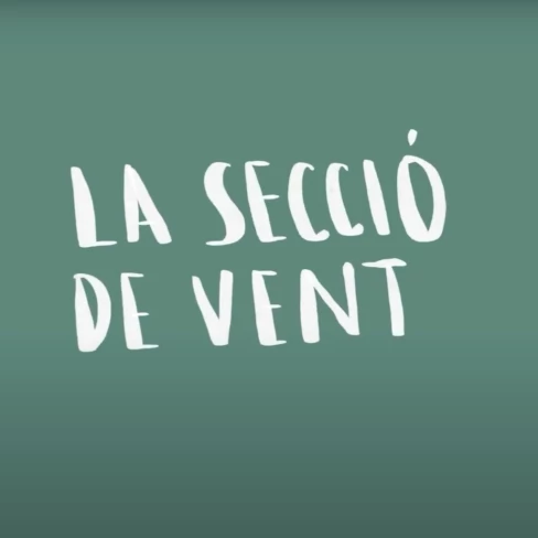 Vídeo divulgatiu sobre la secció de vent d'una orquestra