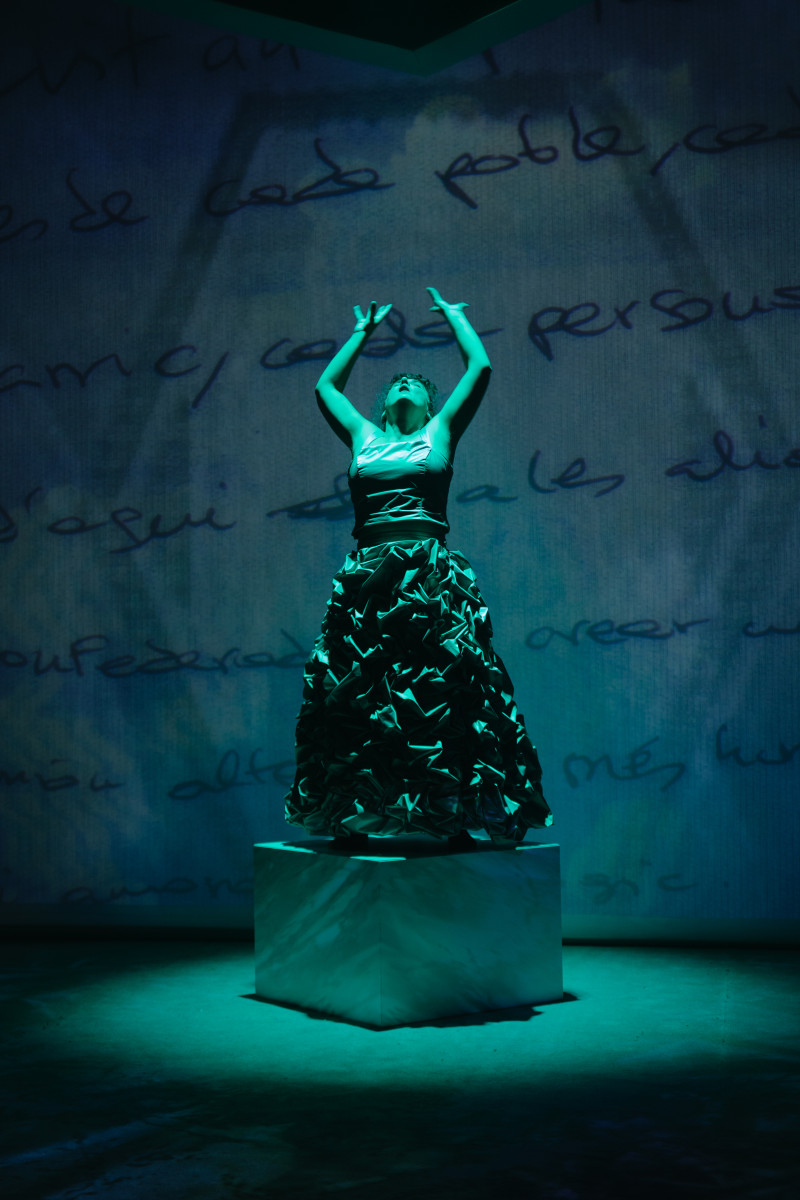 Element 4 de la galeria