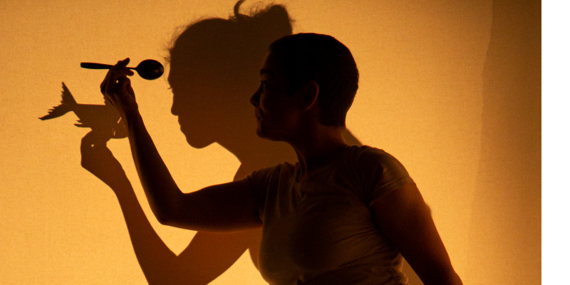 Espectacle de teatre d'ombres sobre la imaginació