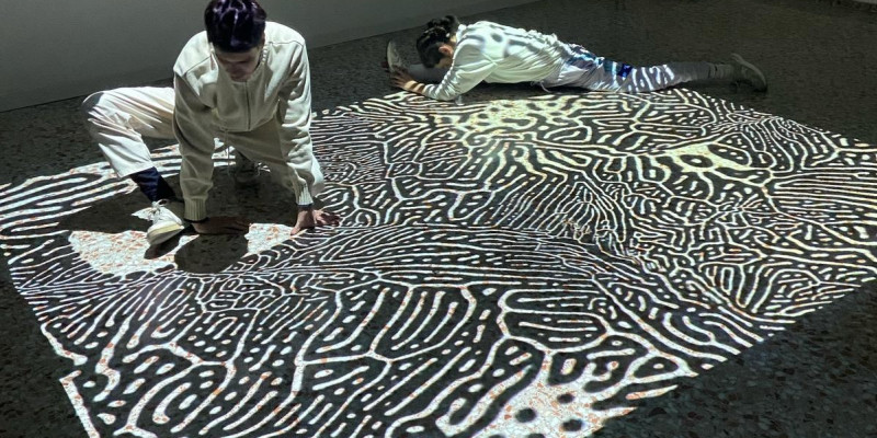 Instal·lació audiovisual interactiva amb dansa i llum